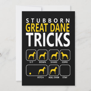hund Stubborn Great dane-stammarna Meddelande