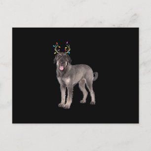 hund sweat, stor schnauzer rener christmas meddelande vykort