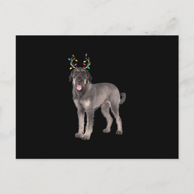 hund sweat, stor schnauzer rener christmas meddelande vykort (Framsida)