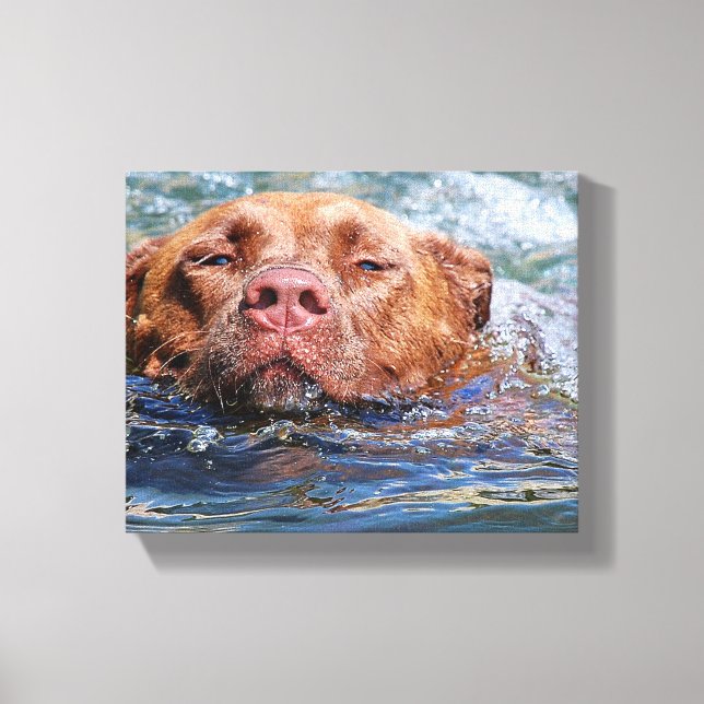 Hund Swimming Canvastryck (Framsida)