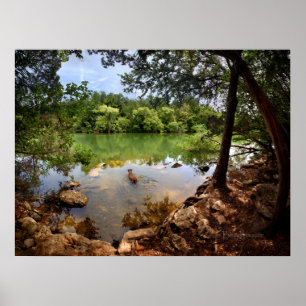 Hund Swimming Ladybird Sjö 2 - Austin Texas Poster