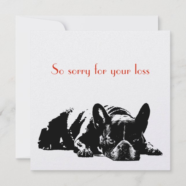 Hund Sympathy (Framsida)