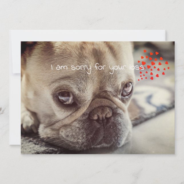 Hund Sympathy Card (Framsida)