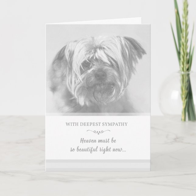 Hund Sympathy Card - himlen måste vara vacker Kort (Framsida)