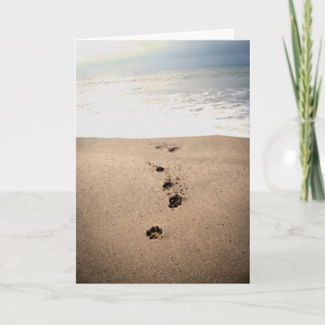 Hund Sympathy Card Kort (Framsida)
