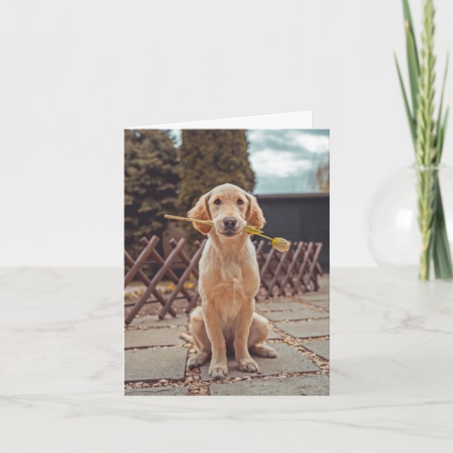 Hund Sympathy Card Kort (Framsida)