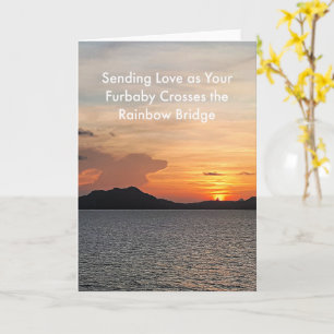 Hund Sympathy Card - moln i Himmel Kort