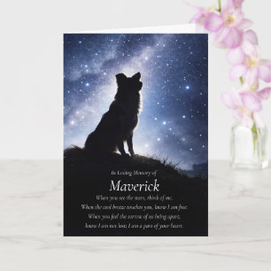 Hund Sympati Border Collie Anpassat Namn Kort