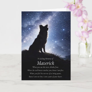 Hund Sympati Border Collie Anpassat Namn Kort
