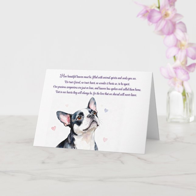 Hund Sympati Boston Terrier med Minnesmärke Kort (Orkide)