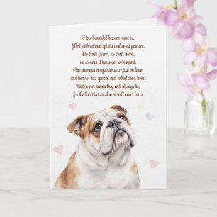 Hund Sympati Engelsk Bulldogge Andlig  Kort
