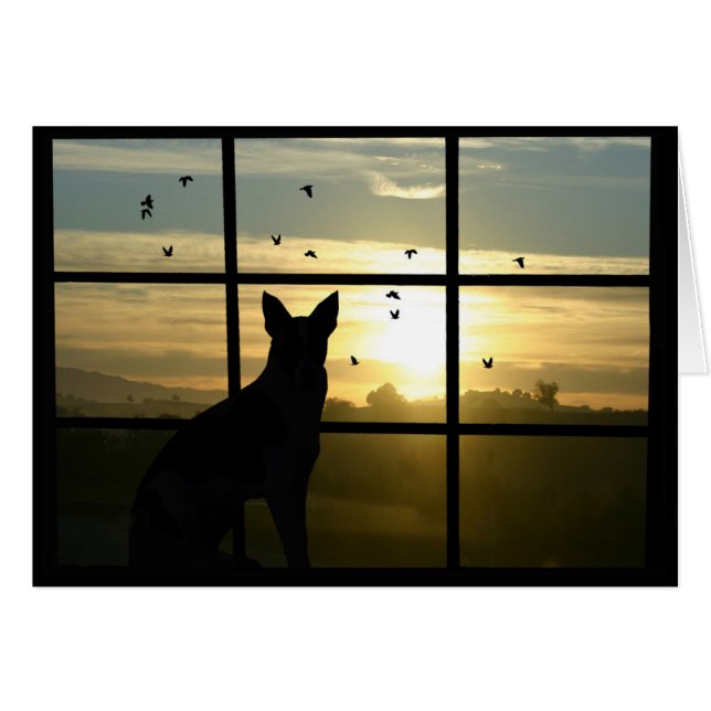 Hund Sympati, förlorad Hund Hälsningskort (Framsidan Horizontal)