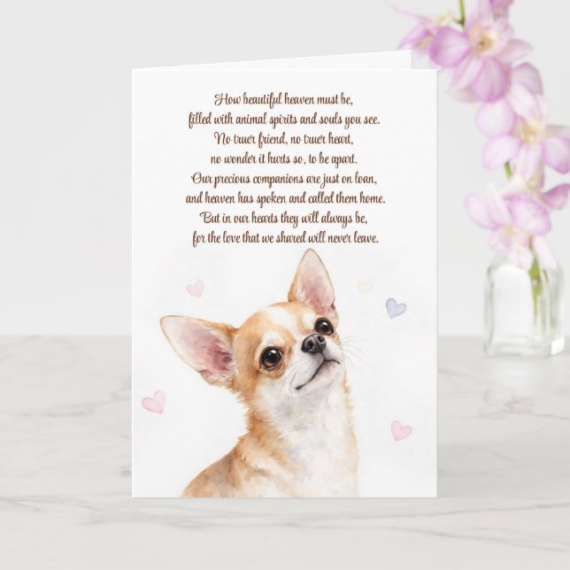 Hund Sympati Förlust Chihuahua Andlig Kort (Orkide)