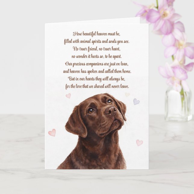 Hund Sympati Förlust Choklad Lab Andlig Kort (Orkide)