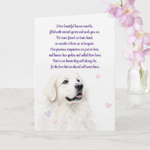 Hund Sympati Great Pyrenees Andlig Förlust Kort