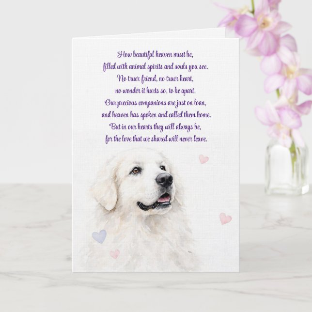 Hund Sympati Great Pyrenees Andlig Förlust Kort (Orkide)