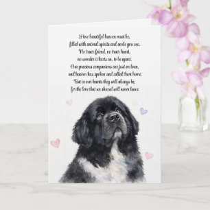 Hund Sympati Newfoundland Newfie Kondoleanser Kort