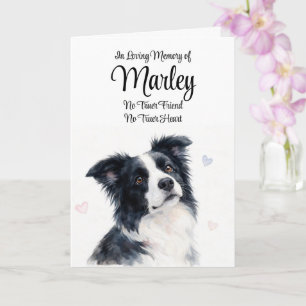 Hund Sympati Personligt Namn Border Collie Kort