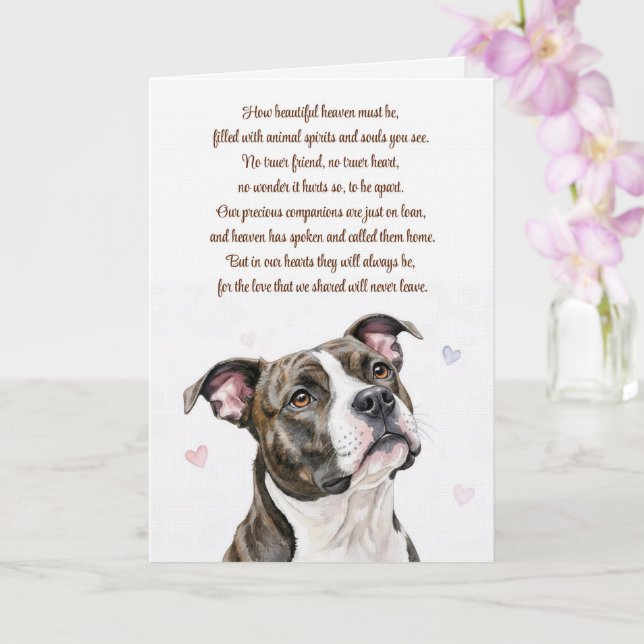 Hund Sympati Pitbull Pitty Förlust Andlig Kort (Orkide)