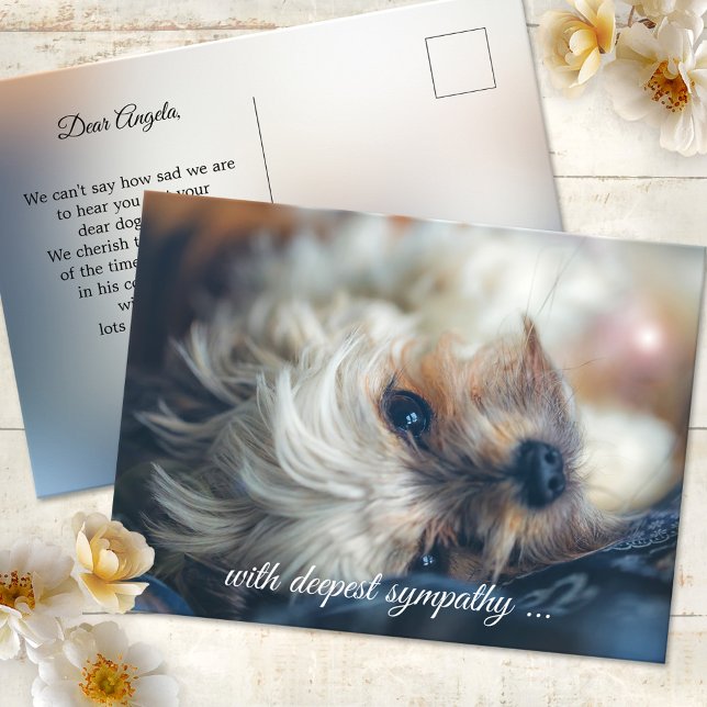 Hund Sympati Postkort Vykort (Postcard featuring an image of a dog in a dreamy light. Use a custom photo for sympathy greetings)