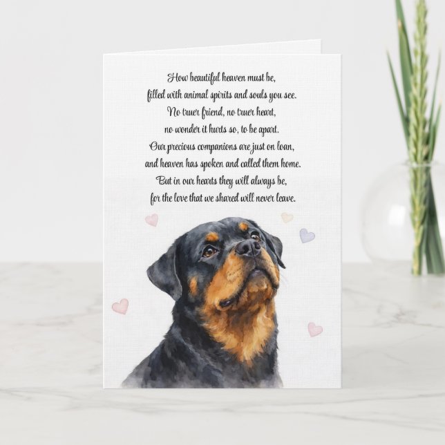 Hund Sympati Rottweiler Kondoleanser Kort (Framsida)