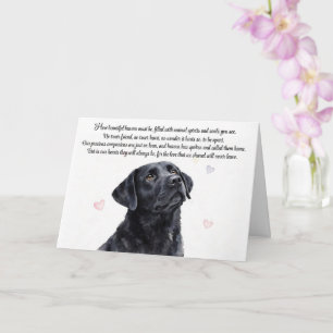 Hund Sympati Svart Labrador Lab Andlig Kort