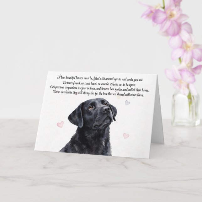 Hund Sympati Svart Labrador Lab Andlig Kort (Orkide)