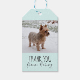 Hund Tack Gift Photo Märkres Presentetikett