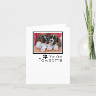 Hund - Tack kort - du är Pawsome