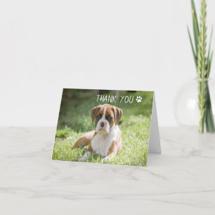 Hund - tackkort - boxer-Hund