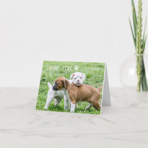 Hund - tackkort - boxer-Hund
