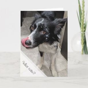 Hund tårta Birthday Kort