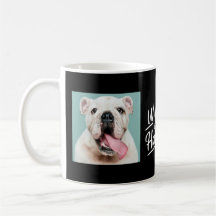 Hund Tass Photo