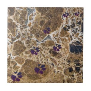 Hund Tassar Marble Brown   Keramiska plattor Kakelplatta