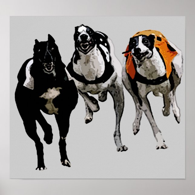 HUND TÄVLING GREYHOUND POSTER (Framsidan)