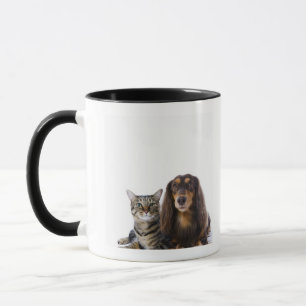 Hund (tax) och katt (japansk katt) på vit mugg