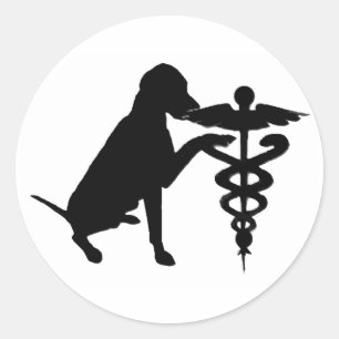 HUND TERAPI HOSPITAL RUNT KLISTERMÄRKE