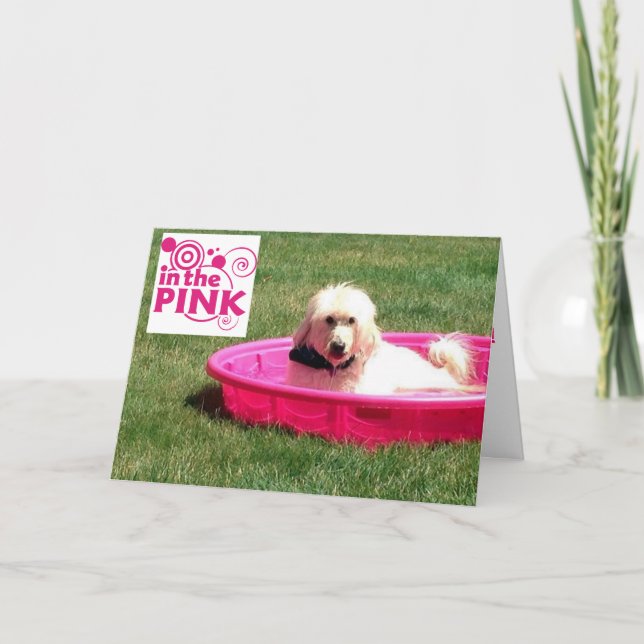HUND TILL ROSAN/I BASSÄNG PÅ DIN BIRTHDAY KORT (Framsida)