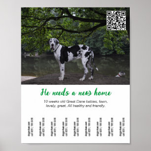 Hund till salu affischmall  poster