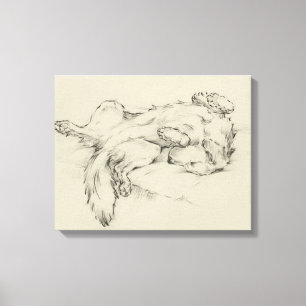 Hund Tired Canvastryck