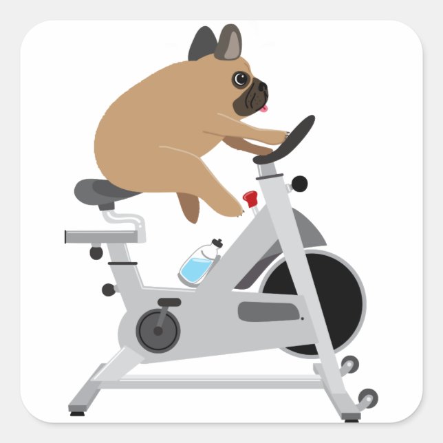 Hund Tired Fyrkantigt Klistermärke (Framsida)