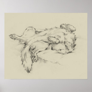 Hund Tired Poster