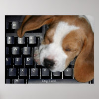 Hund Tired