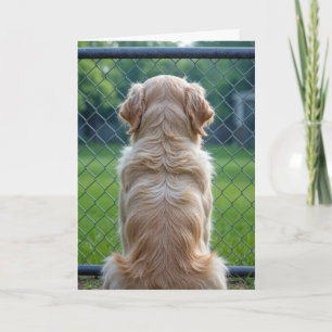 Hund Tittar genom ett stängsel Kort
