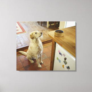 Hund tittar i mat på bord. canvastryck