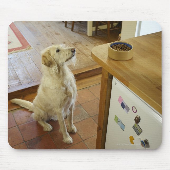 Hund tittar i mat på bord. musmatta (Framsidan)