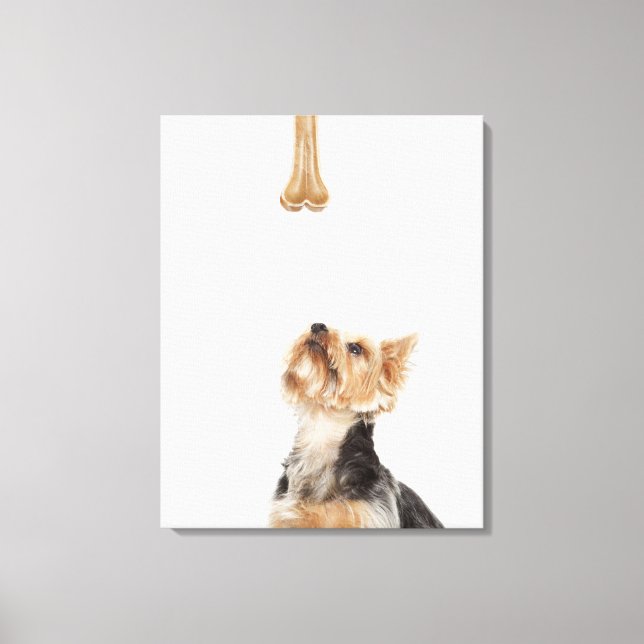 Hund tittar upp i ben canvastryck (Framsida)