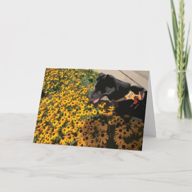 Hund Tittar vid Flowers Black Öga Susan Daisy Kort (Framsida)