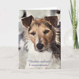 Hund tjeckiskt födelsedagskort kort