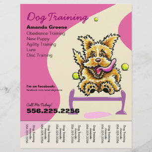 Hund Trainer Active Terrier Ad Tear Lakan Reklamblad